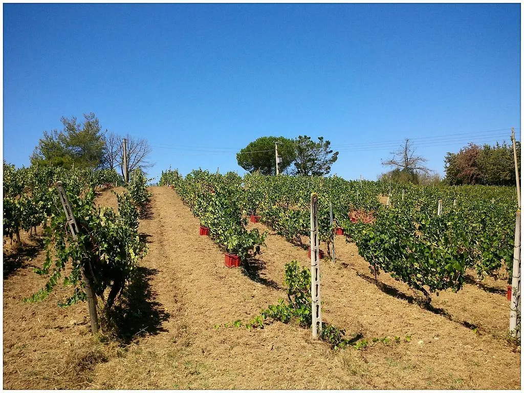 Agriturismo San Giusto Montiano  Italien