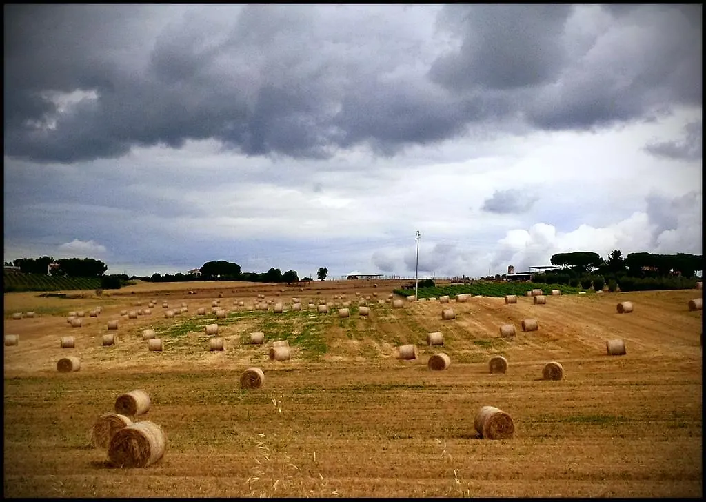Bauernhof Agriturismo San Giusto Montiano  Italien